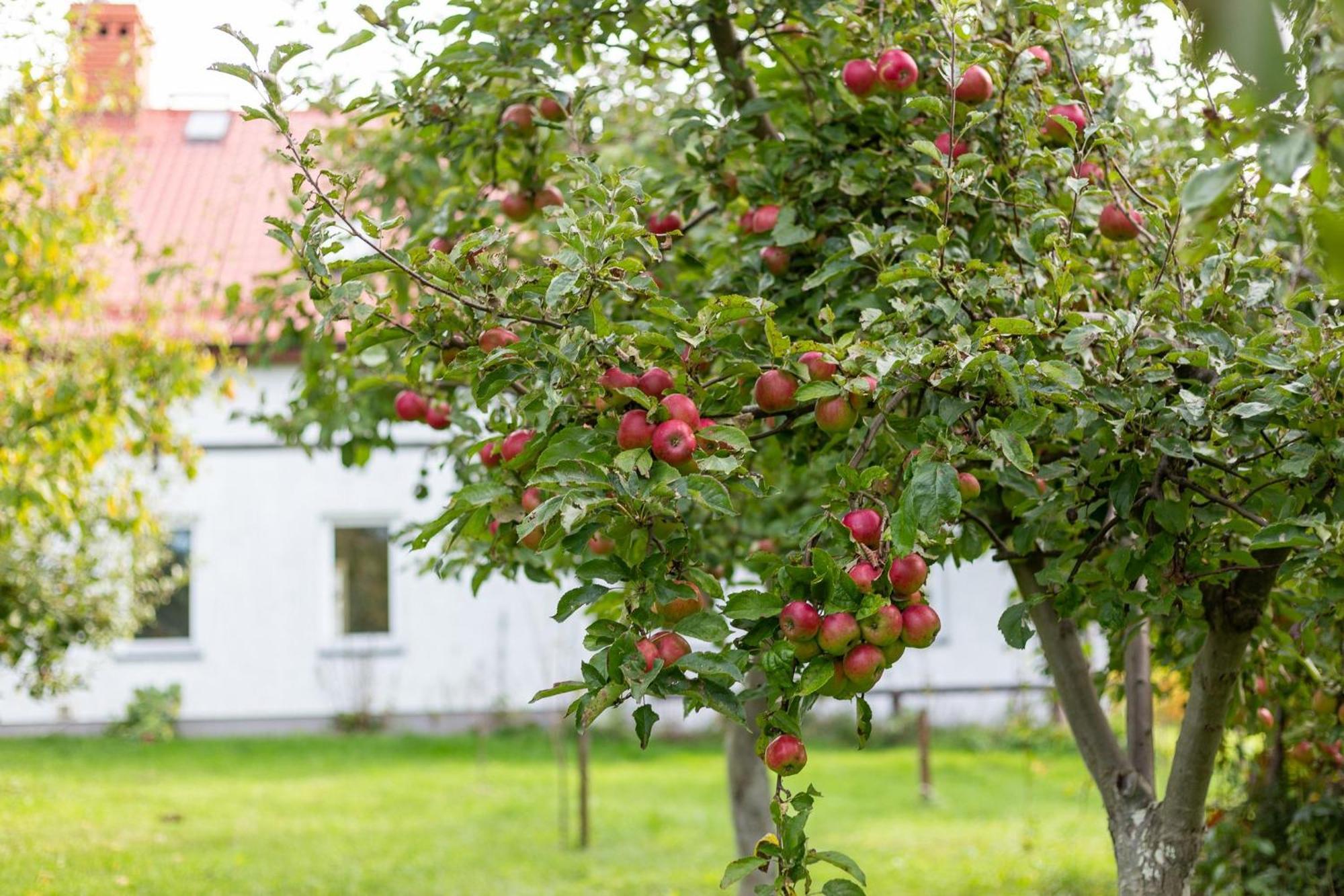 Bauernhof Dylewianka *