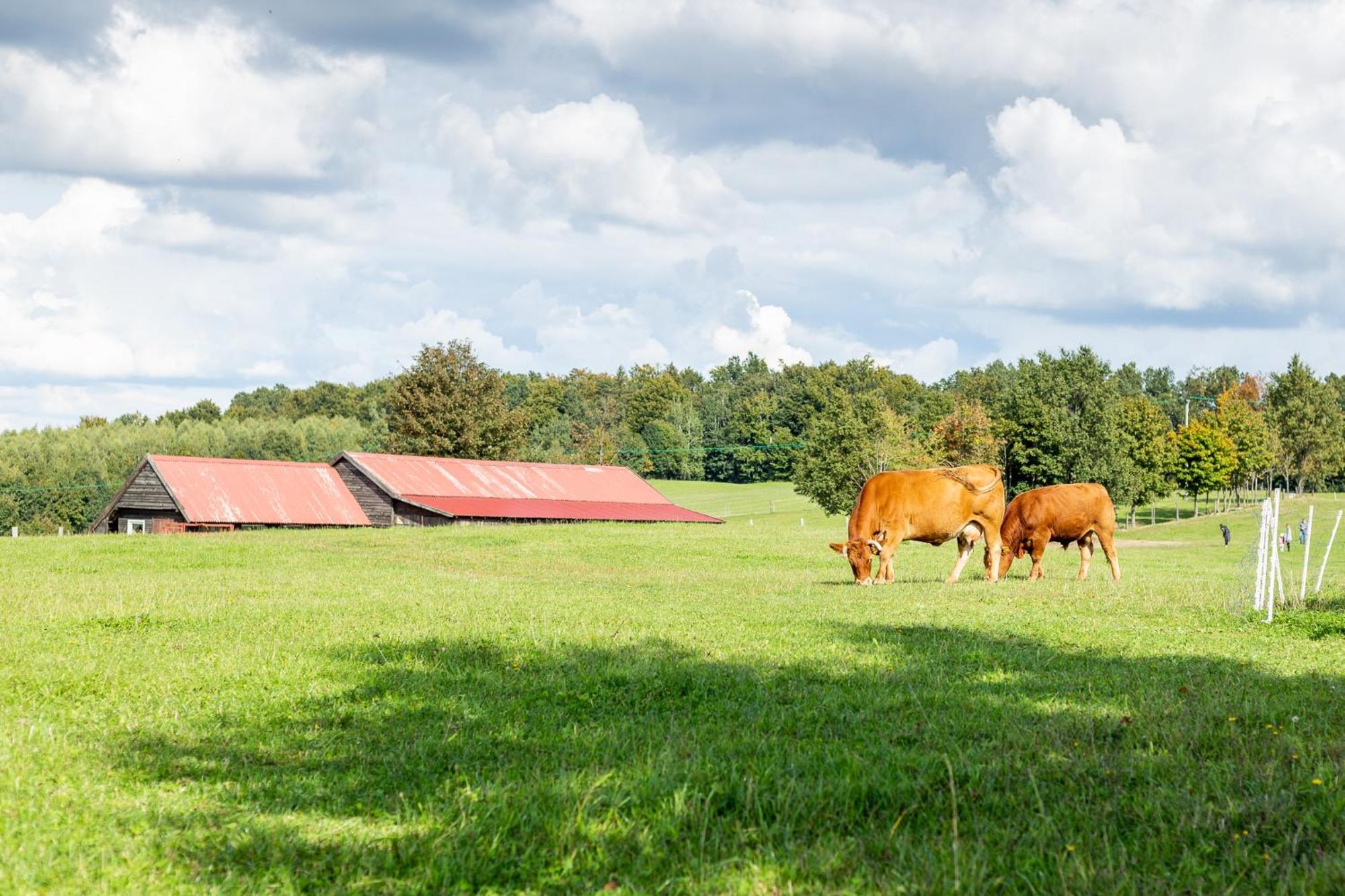 Dylewianka Farm stay