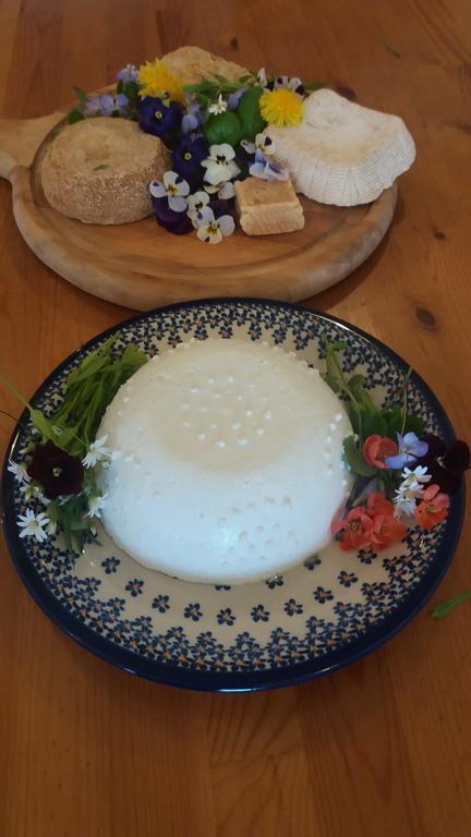 Dylewianka Farm stay Wysoka Wies